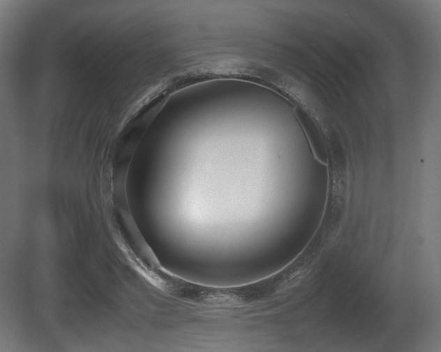 X0000081270397200701111311