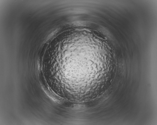 X0000081270398200701111311