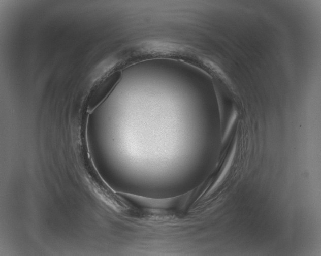 X0000081270399200701111311