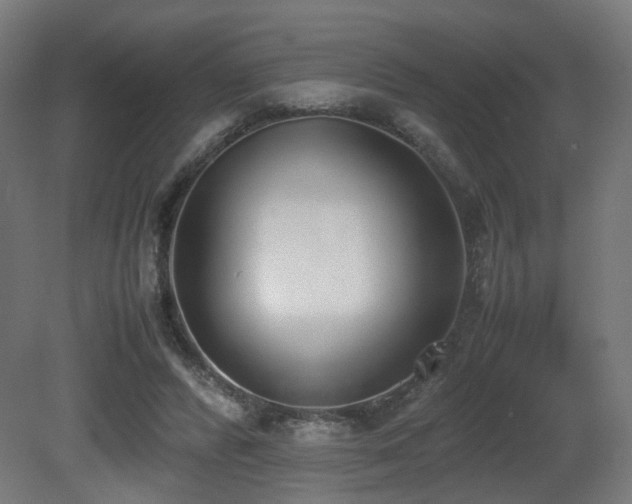 X0000081270400200701111311