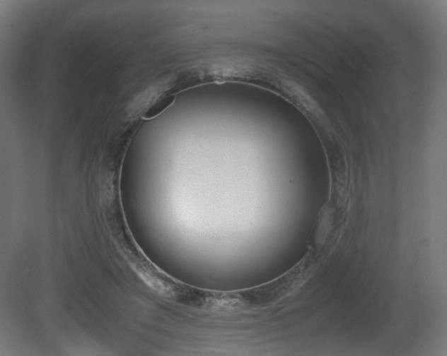 X0000081270401200701111311