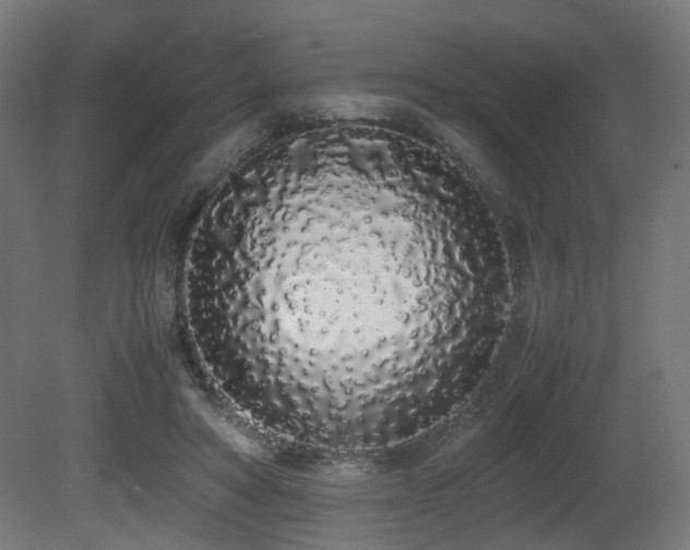 X0000081270402200701111311