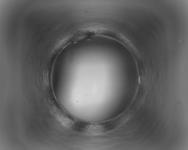 X0000081270403200701111311