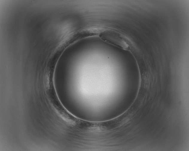 X0000081270404200701111311