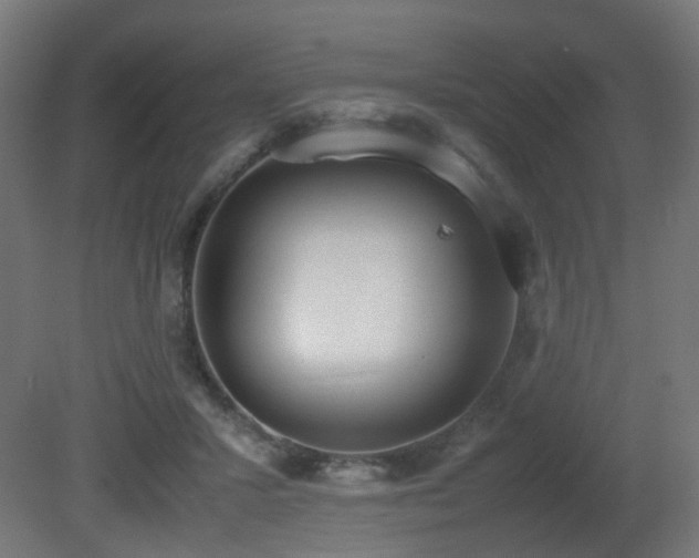 X0000081270407200701111311