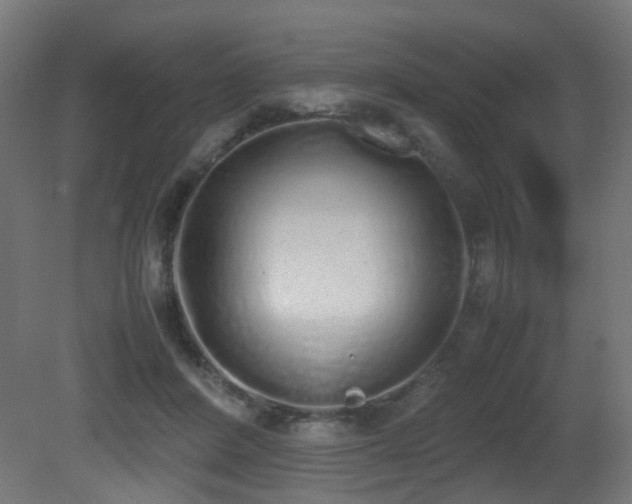 X0000081270408200701111311