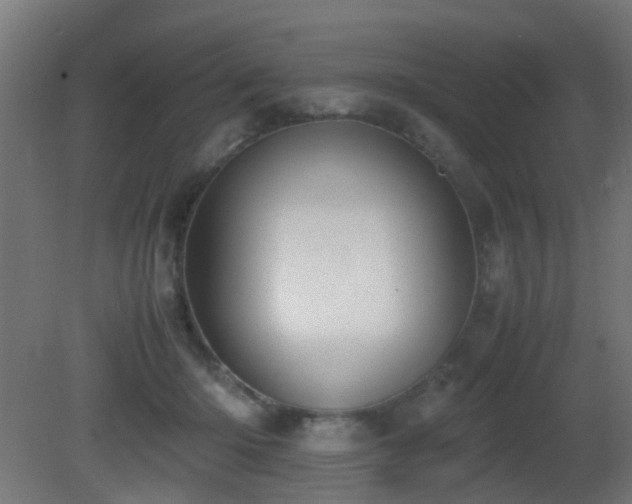X0000081270414200701111311