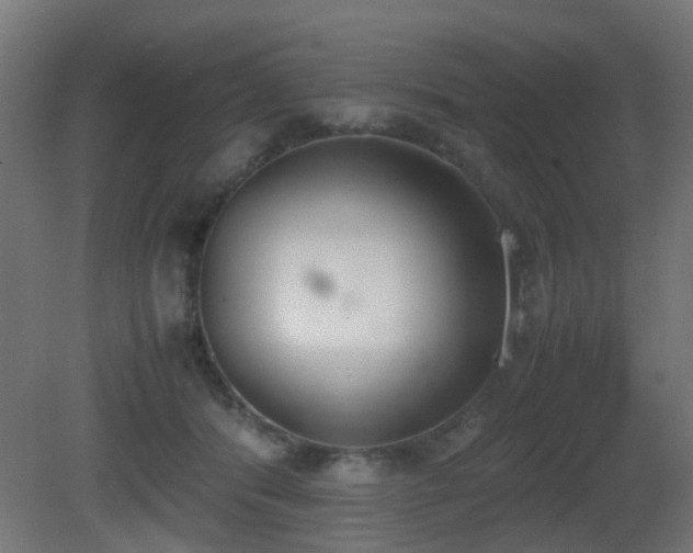 X0000081270416200701111311