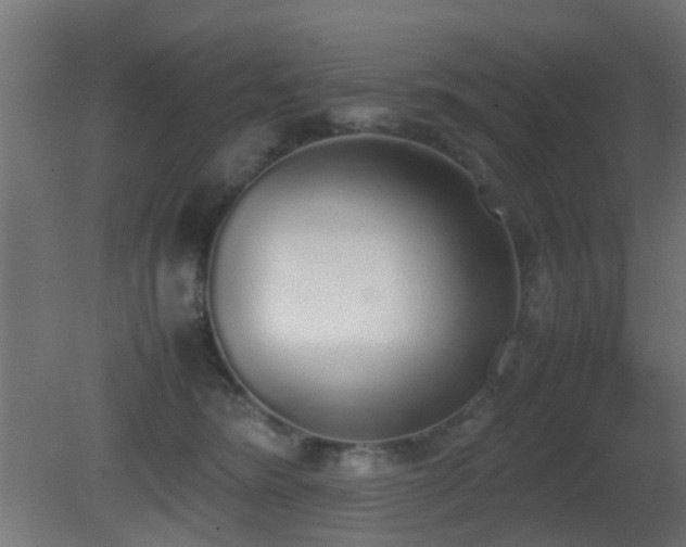 X0000081270420200701111311