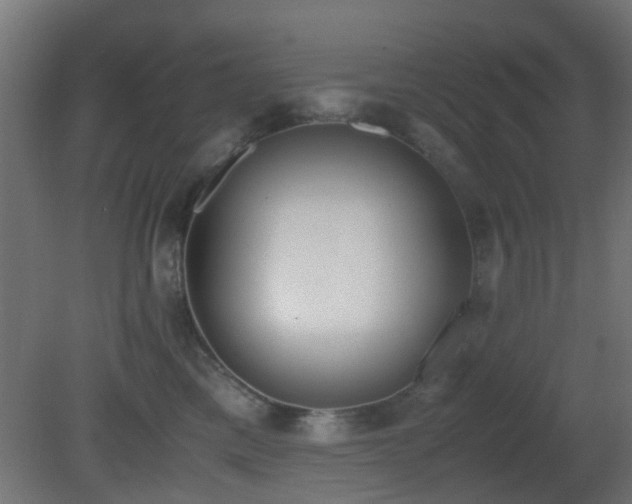 X0000081270425200701111311
