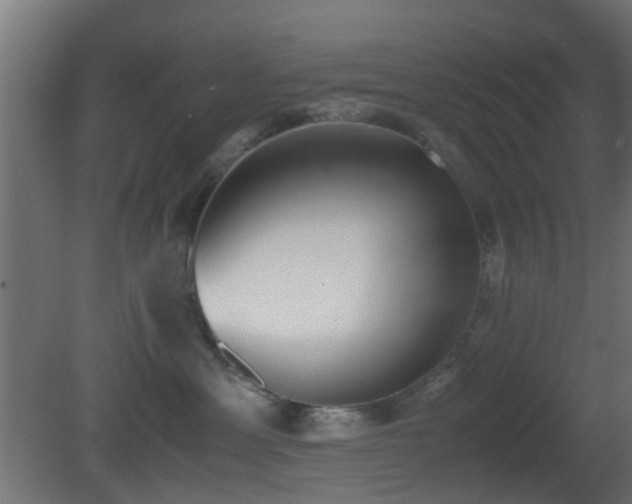 X0000081270429200701111311