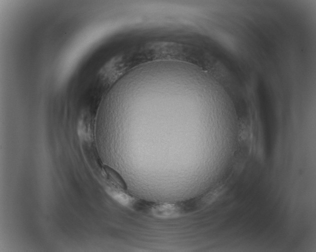 X0000081270431200701111311