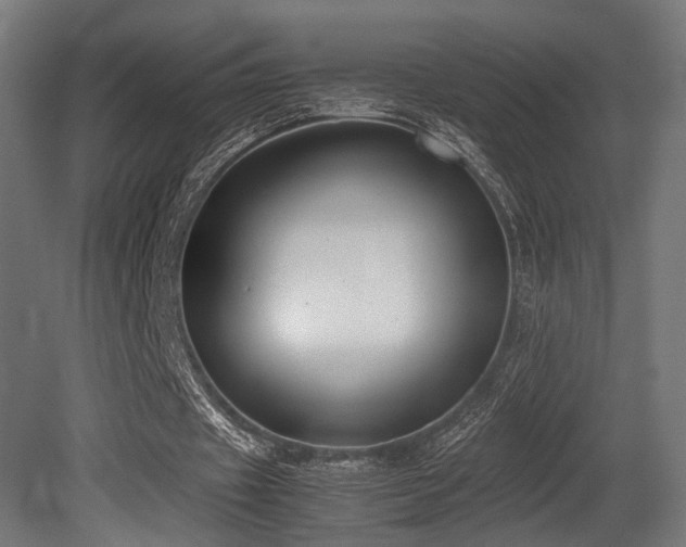 X0000081270433200701111310