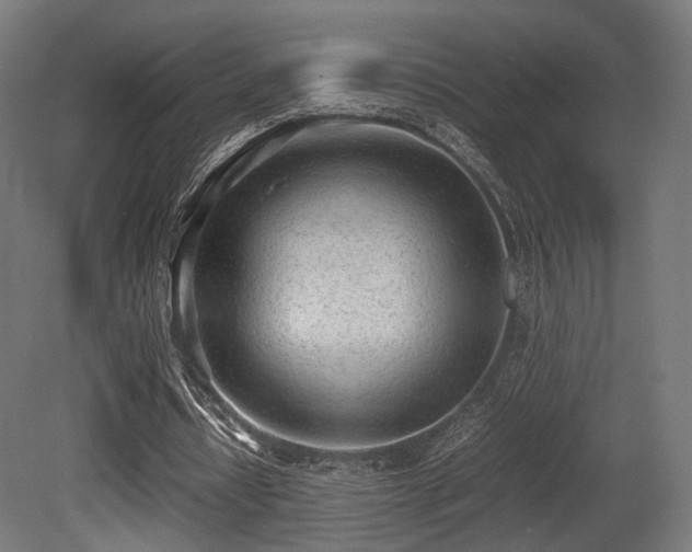 X0000081270434200701111310