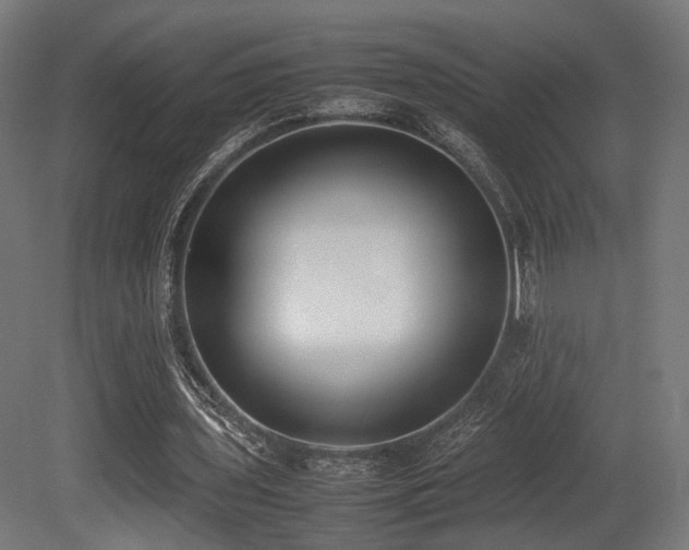 X0000081270435200701111310