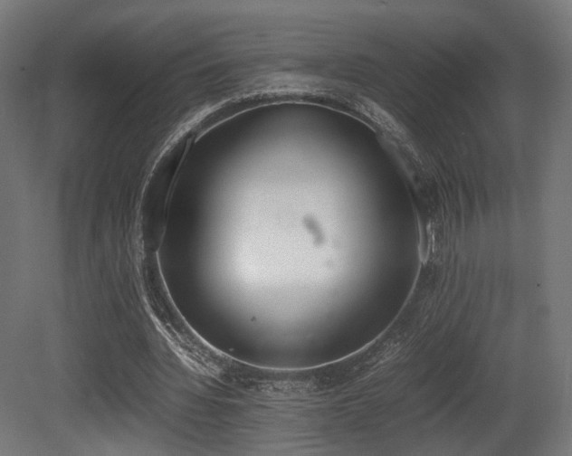 X0000081270436200701111310