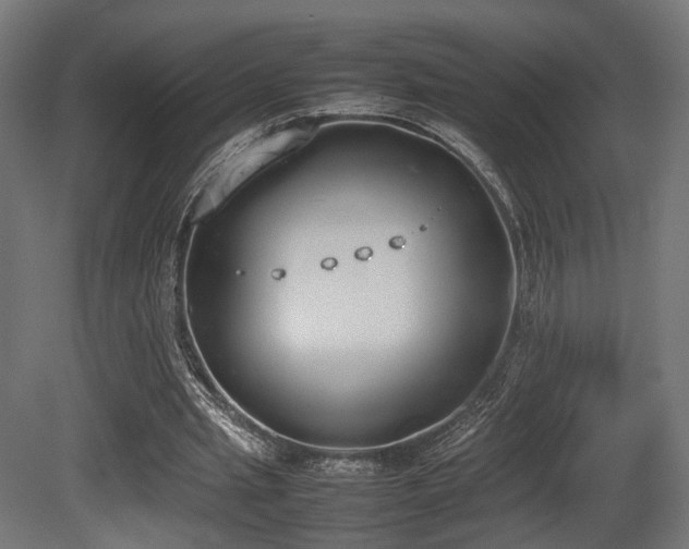 X0000081270437200701111310