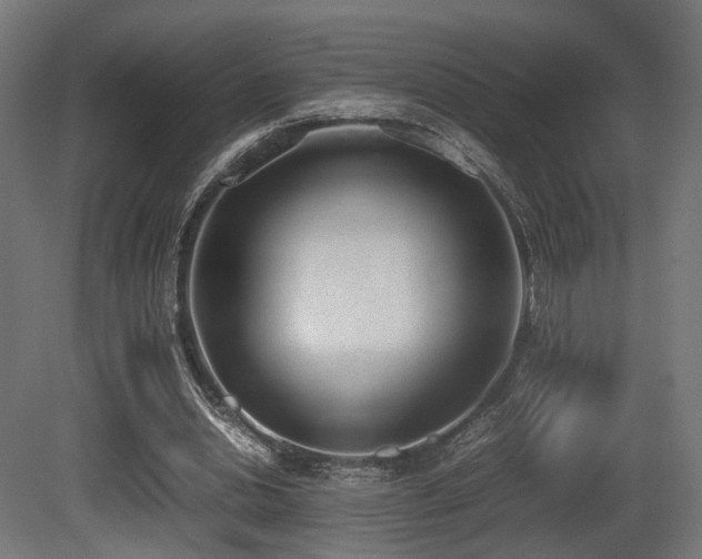 X0000081270438200701111310