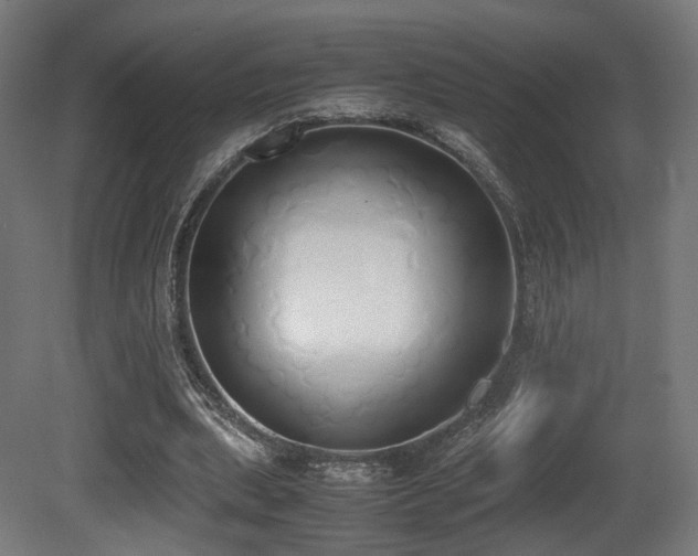 X0000081270439200701111310