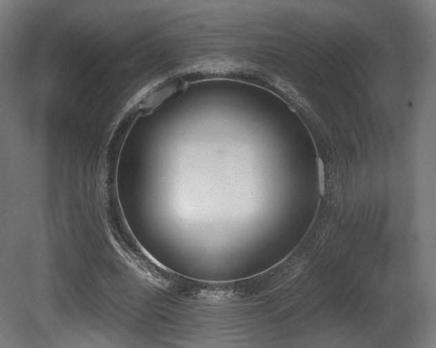 X0000081270440200701111310
