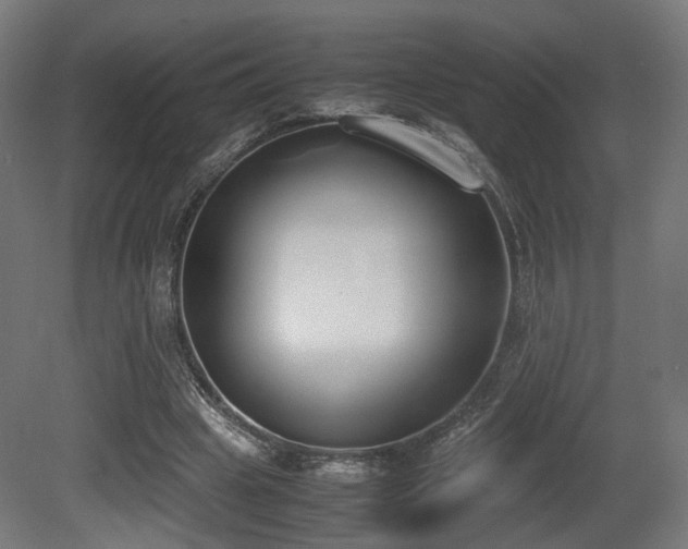 X0000081270441200701111310