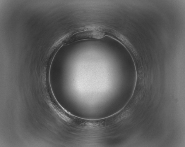 X0000081270442200701111310