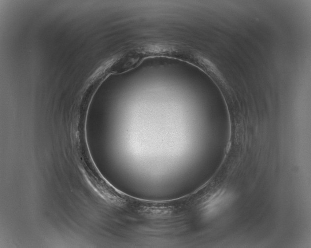 X0000081270443200701111310