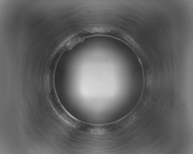 X0000081270444200701111310
