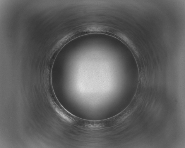 X0000081270445200701111310