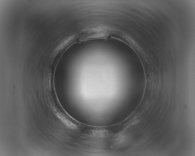 X0000081270446200701111310
