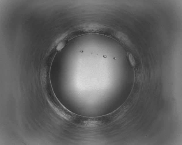 X0000081270448200701111310
