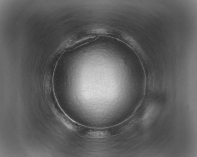 X0000081270449200701111310