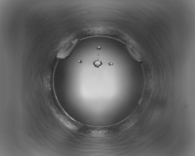 X0000081270450200701111310