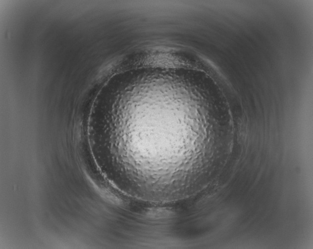 X0000081270451200701111310