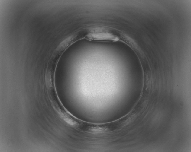X0000081270453200701111310