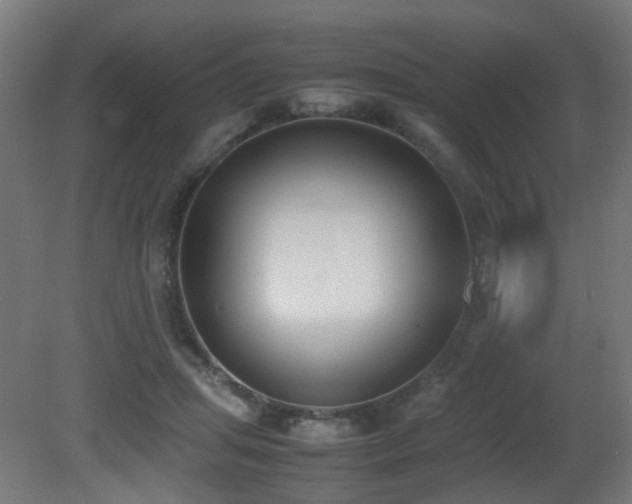 X0000081270455200701111310