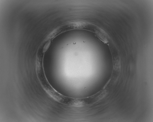 X0000081270456200701111310