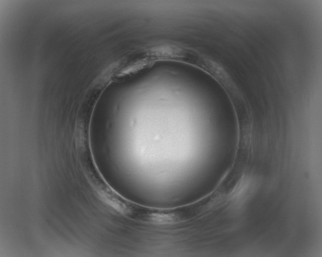 X0000081270457200701111310