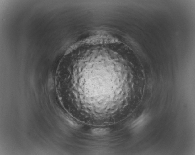 X0000081270465200701111311