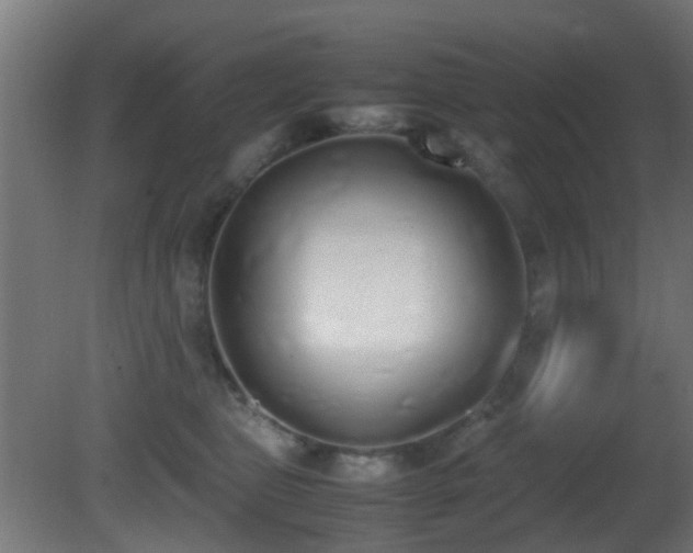 X0000081270469200701111311