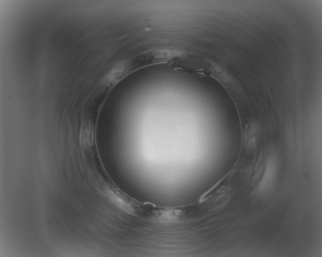 X0000081270474200701111311