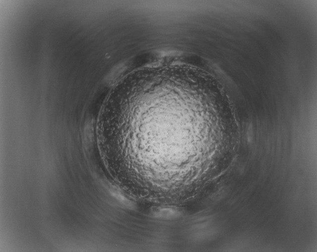 X0000081270475200701111311