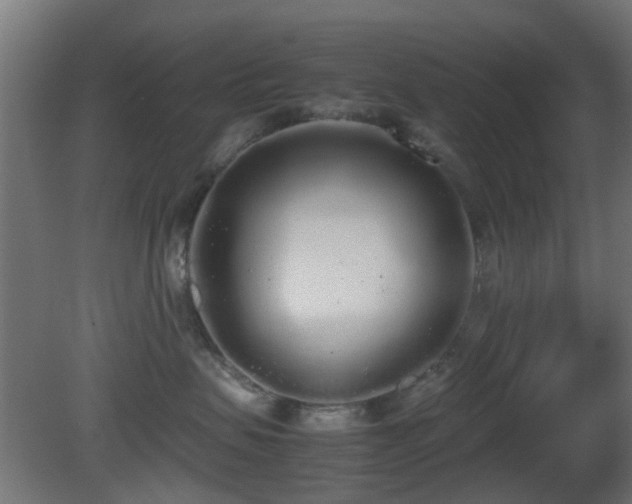 X0000081270479200701111311