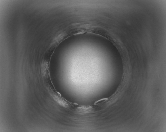 X0000081270480200701111311