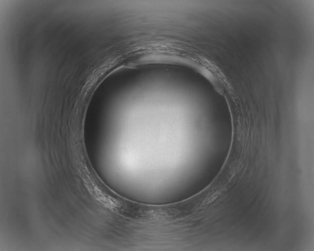 X0000081270481200701111310