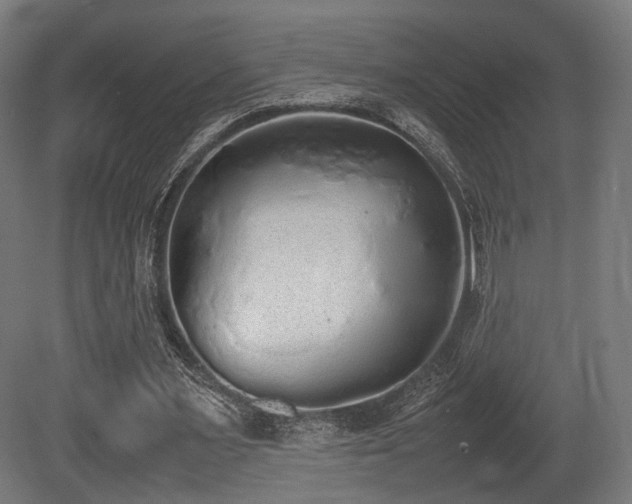 X0000081270483200701111310