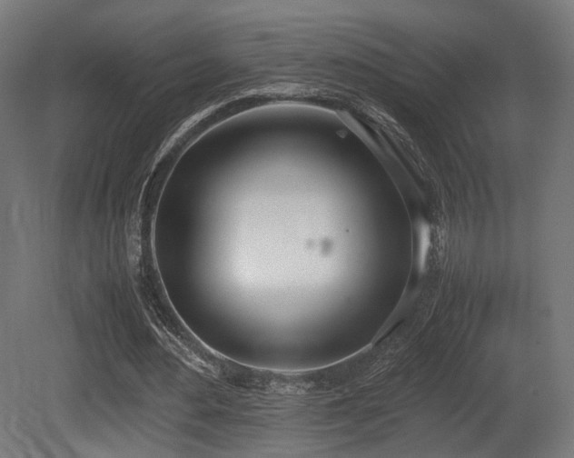 X0000081270484200701111310