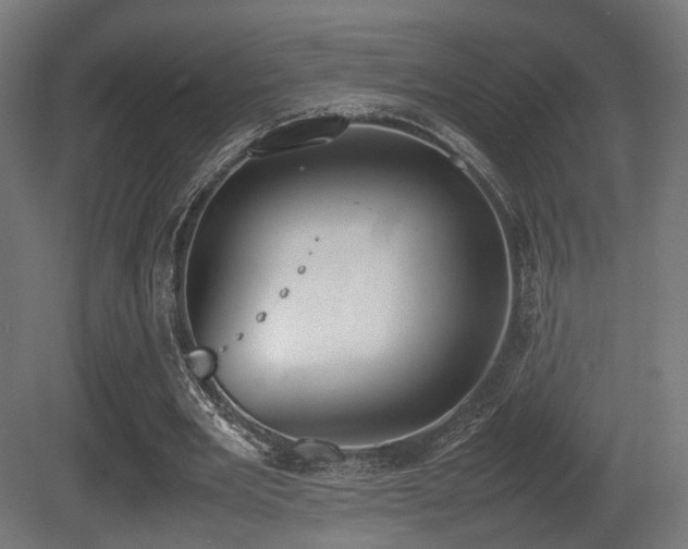 X0000081270485200701111310