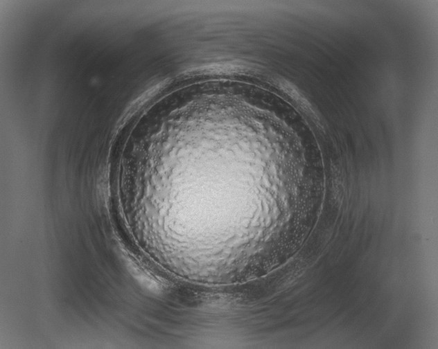 X0000081270486200701111310