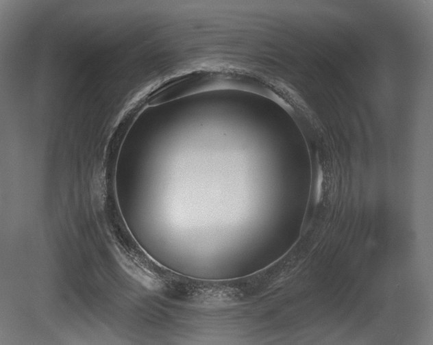 X0000081270488200701111310